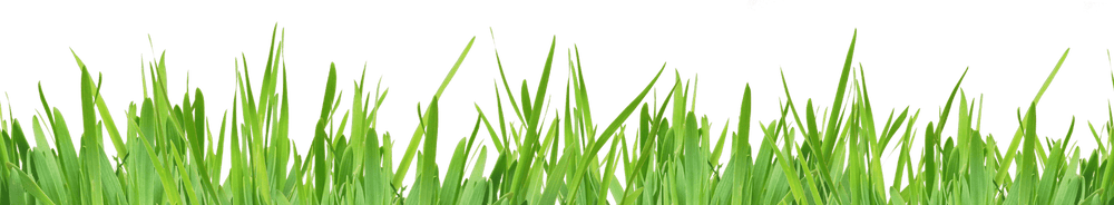 Yonder grass-fed collagen product range