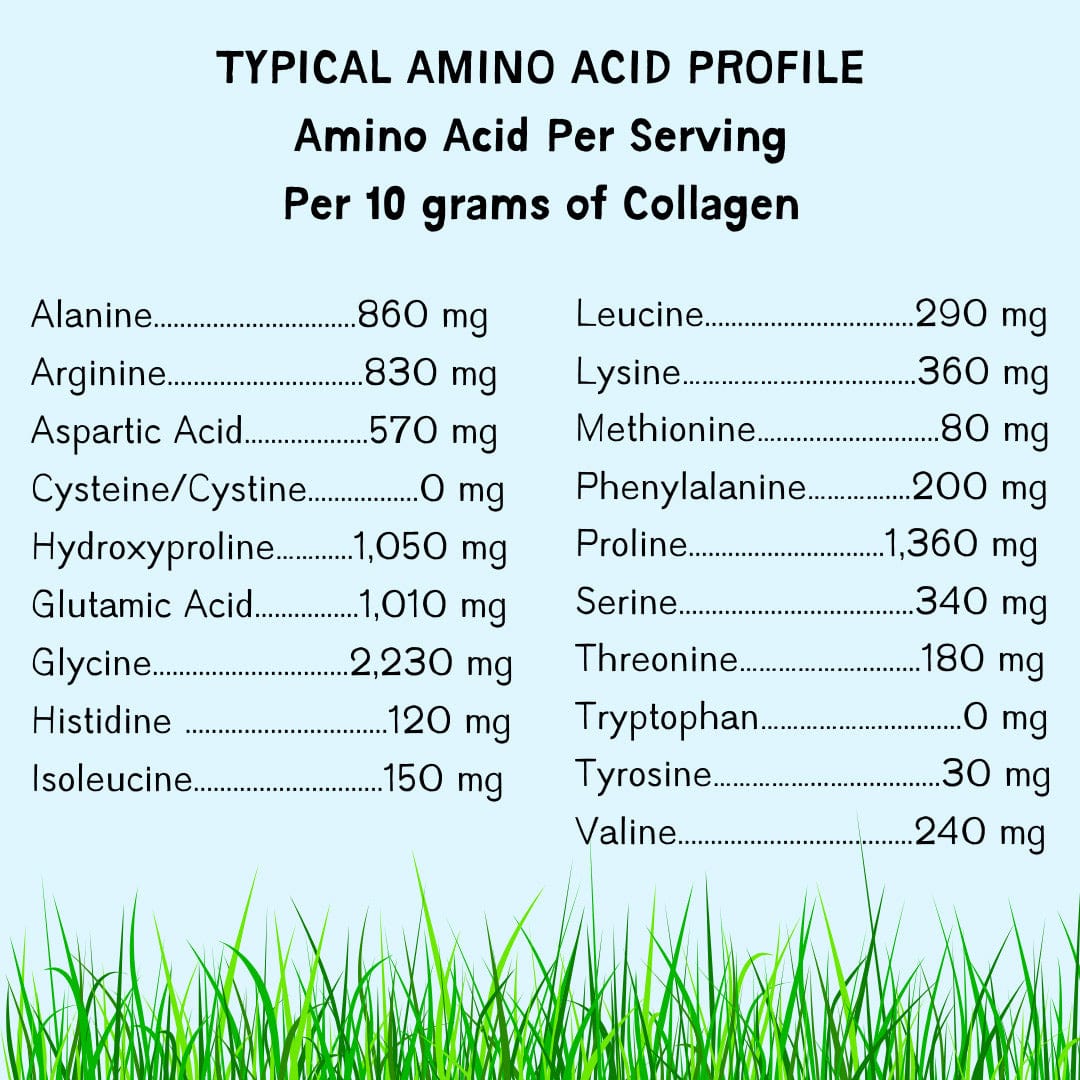 Amino acid profile of collagen per 10g serving.
