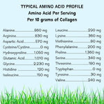 Amino acid profile of collagen per 10g serving.