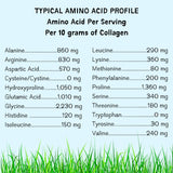 Amino acid profile of collagen per 10g serving.