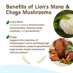 Brain & Immune Support