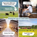 Yonder cows, family cow, factory farm, & small farm.