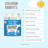 10g Collagen Peptides Benefits - Hair, Skin, Nails, Joints, & More