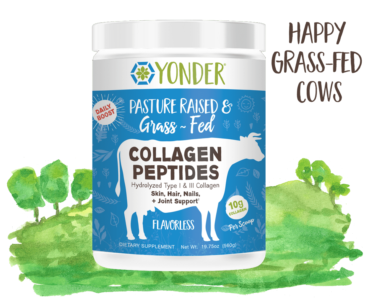 Collagen peptides container with cow illustration on green background.