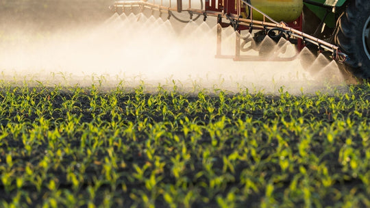 Knowing Glyphosate and Why Might It Be in Collagen Supplements