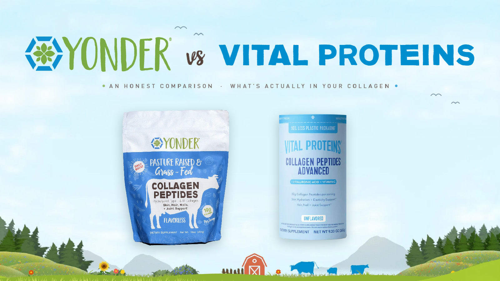 Yonder vs Vital Proteins: What's Actually in Your Collagen