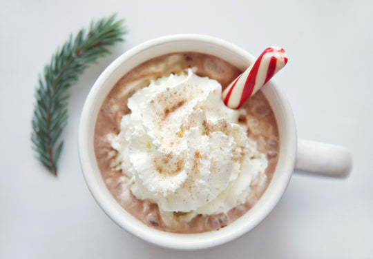 Warm and delicious Peppermint Protein Hot Chocolate Recipe