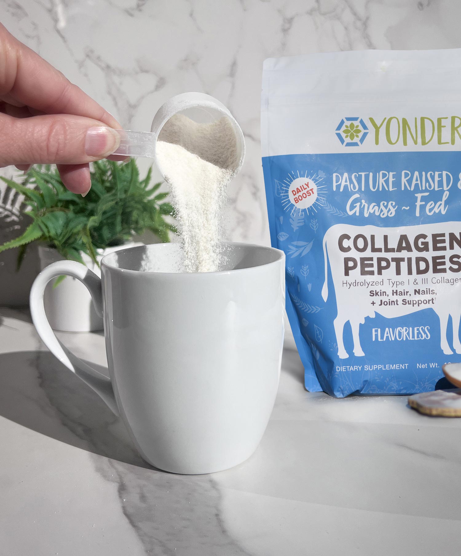 Is It OK To Add Collagen Powder to Hot Coffee?