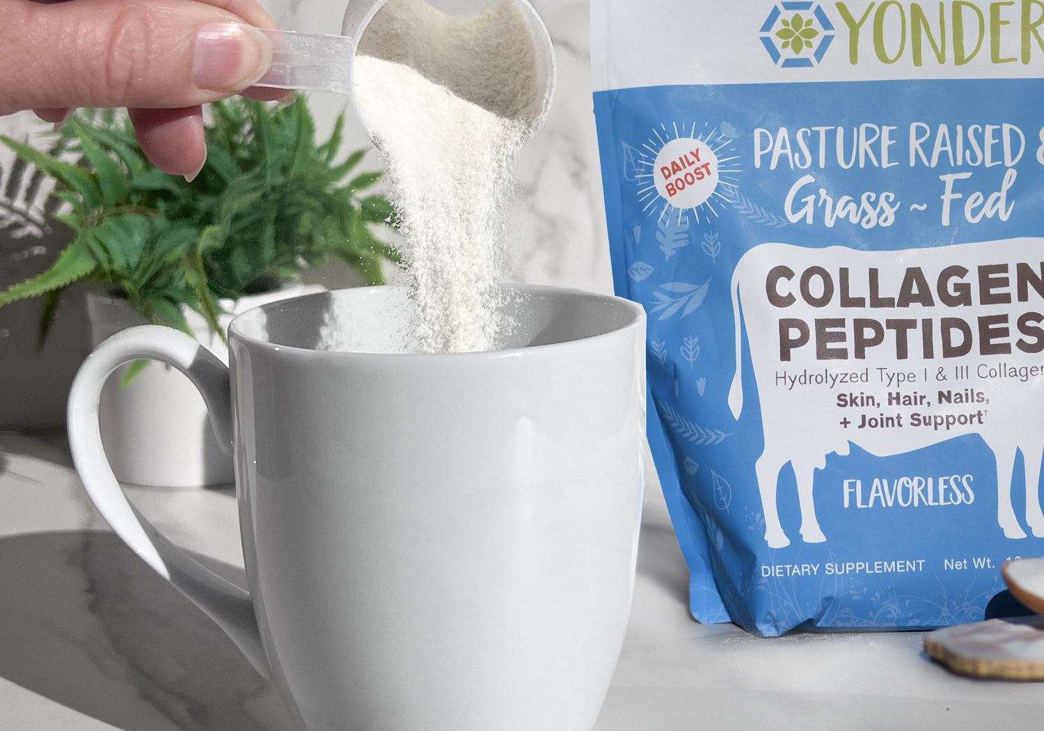 Adding collagen to hot coffee