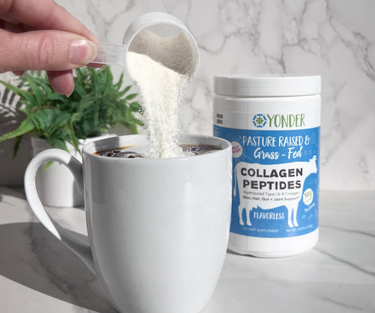 Is it safe to add collagen powder to hot coffee? Benefits and best practices explained.