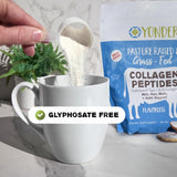 Grass Fed Collagen Peptides Flavorless 454g