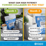 Grass Fed Collagen Peptides Flavorless 454g