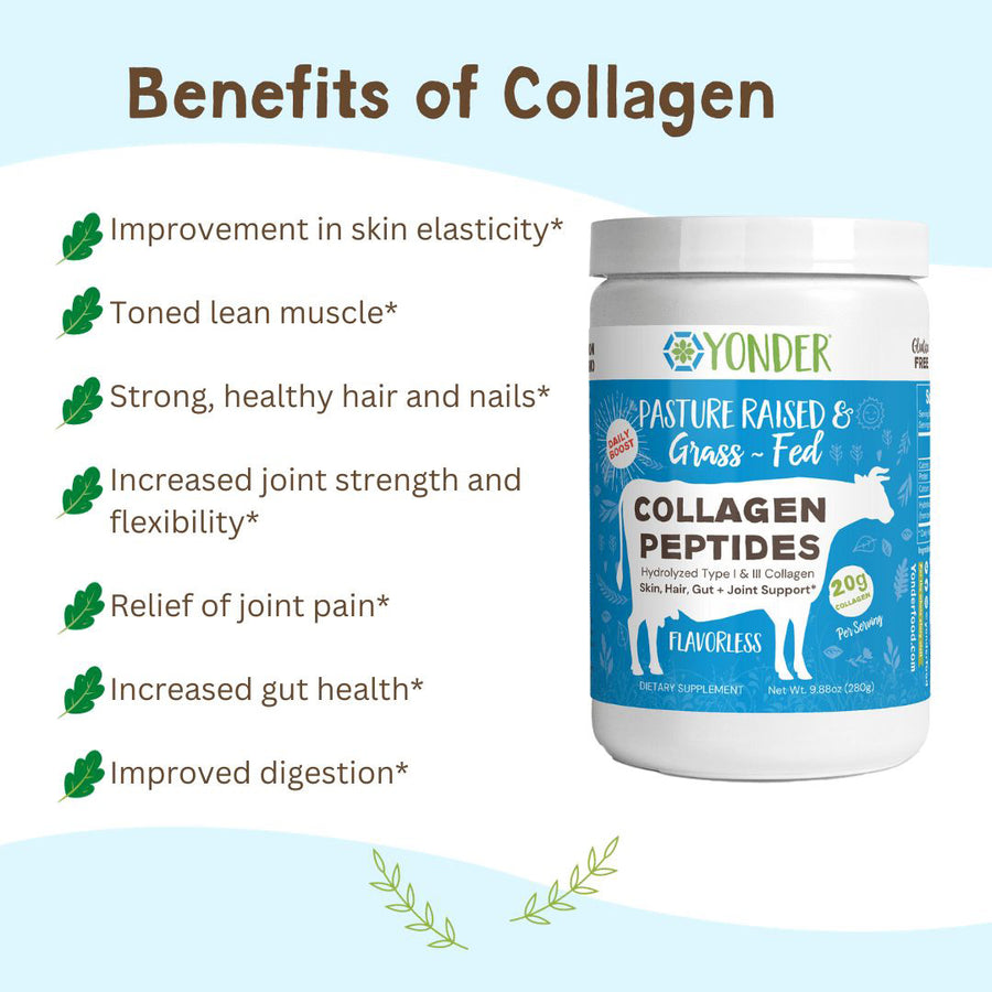 Grass Fed Collagen (Flavorless) Buy 3 Save 10%