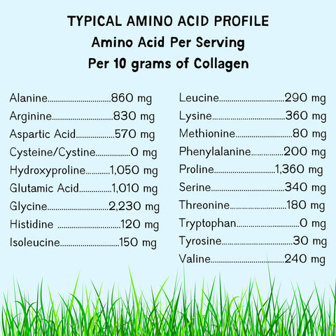 Grass Fed Collagen Peptides (flavorless)