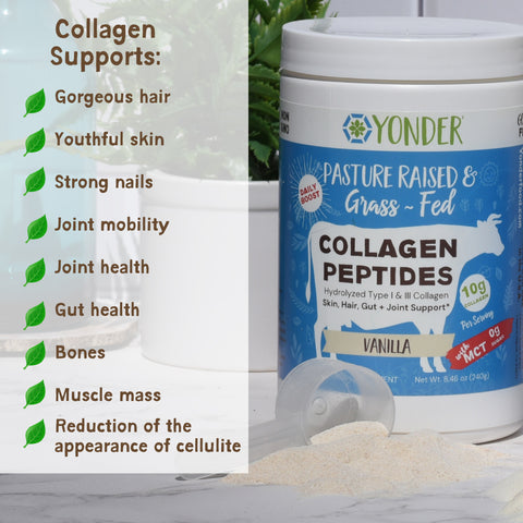 Grass Fed Collagen Protein (Creamy Vanilla-MCT)
