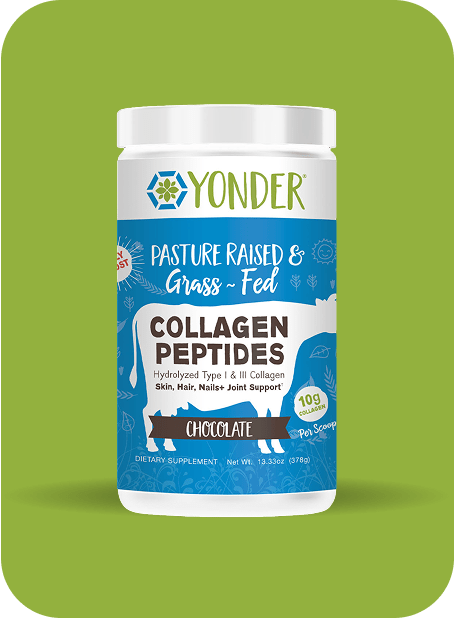 Grass-fed chocolate collagen peptides powder