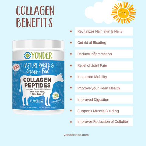 Grass Fed Collagen Peptides (flavorless)