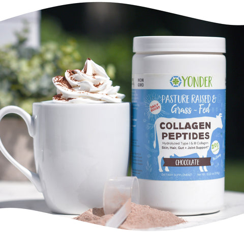 Grass Fed Collagen Peptides (Chocolate)