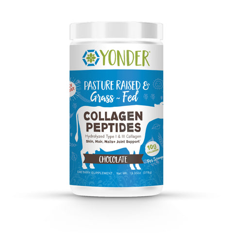 Grass-Fed Collagen Peptides (Chocolate)