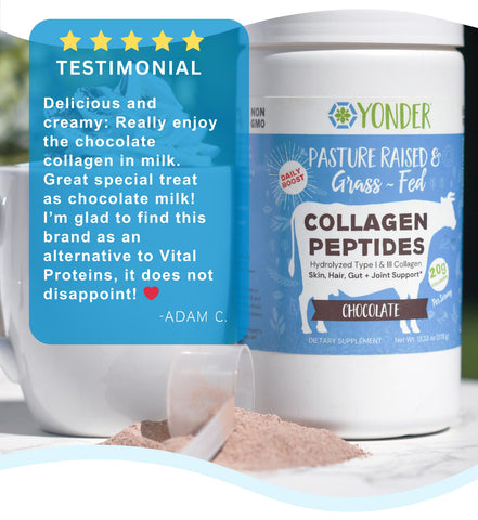 Grass Fed Collagen Peptides (Chocolate)