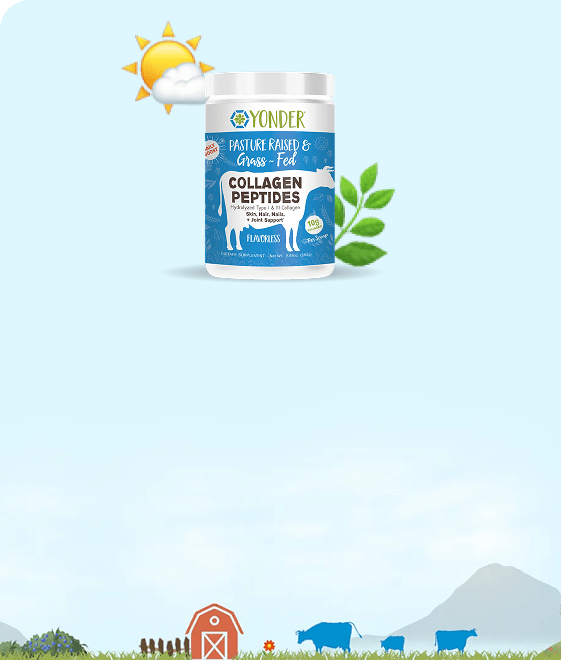 Yonder Collagen Peptides - design 1