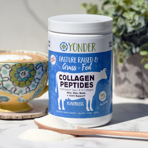 Grass Fed Collagen Peptides (flavorless)