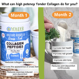 Grass Fed Collagen Peptides flavorless 560g