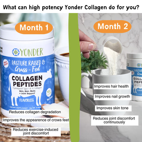 Grass Fed Collagen Peptides (flavorless)